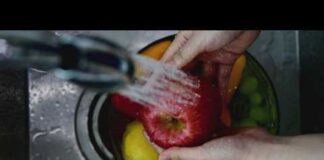 Health officials investigate parasite outbreak linked to contaminated food and water