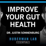 Diet That Silences Anti-Inflammatory Worms Essentials: Build a Healthy Gut Microbiome | Dr. Justin Sonnenburg