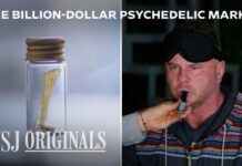Toad Venom Turbocharges Depression Arms Race The Race to Commercialize the World’s Most Powerful Psychedelic | WSJ