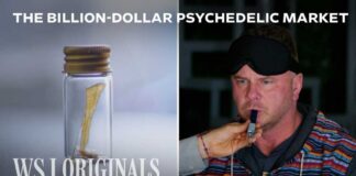 The Race to Commercialize the World’s Most Powerful Psychedelic | WSJ