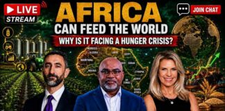 Africa Can Feed the World So Why Is It Facing a Hunger Crisis?