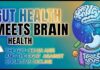 Gut Health Meets Brain Health: The Gut–Brain Axis and the Fight Against Cognitive Decline