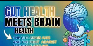 Gut Health Meets Brain Health: The Gut–Brain Axis and the Fight Against Cognitive Decline