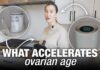 Early Ovarian Decline, Lifelong Fallout Things That Accelerate Ovarian Aging (And How to Slow It Down)