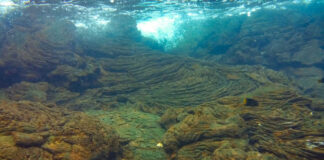 Underwater view of textured rock formations with clear water above