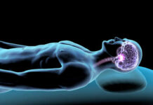 The Protein Your Brain Leaks Before Dementia Starts Illustration of a human figure with a highlighted brain