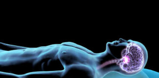 Illustration of a human figure with a highlighted brain