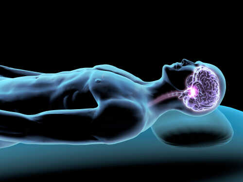 Sleeping,Man,With,X-ray,Brain,,3d,Rendering Illustration of a human figure with a highlighted brain