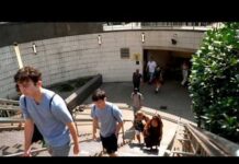 Tiny Stair Habit, Massive Heart Payoff Climbing stairs linked to lower risk of heart-related death, study finds