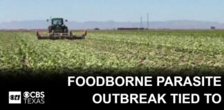 Foodborne parasite outbreak tied to lettuce spreads as deaths are reported