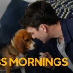 Gene-tweaked beagles offer hope for dog lovers with allergies Genetically altered beagles offer hope for dog lovers with allergies