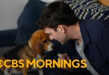 Gene-tweaked beagles offer hope for dog lovers with allergies Genetically altered beagles offer hope for dog lovers with allergies