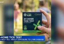 At-home tick test can help detect lyme disease
