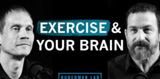 How to Exercise For Improved Cognitive Function | Dr. Tommy Wood & Dr. Andrew Huberman