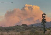 Human-Caused Inferno Hammers Nevada Fire outside of Reno explodes to 10,000 acres, evacuations issued
