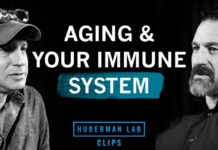 Why Your Immune System Declines With Age | Dr. Max Krummel & Dr. Andrew Huberman