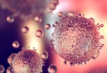 Daily Habits That Quietly Increase Cell Inflammation Microscopic view of virus-like particles with spiky surfaces
