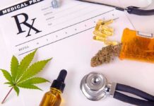 Cannabis for Post-Traumatic Stress Disorder Medical prescription with cannabis, pills, and a stethoscope