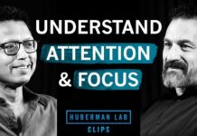Understand Your Attention Span & Deepen Focus | Dr. Masud Husain & Dr. Andrew Huberman
