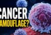 Hidden Cancer Trick Fueled By Sugar High Blood Sugar and Cancer Camouflage