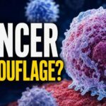 Hidden Cancer Trick Fueled By Sugar High Blood Sugar and Cancer Camouflage