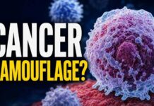 High Blood Sugar and Cancer Camouflage