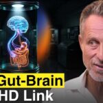 ADHD’s Body Twist: Is It a Whole-Body Problem? ADHD Is a Whole-Body Problem: What to Look at Beyond the Brain