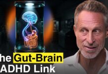 ADHD Is a Whole-Body Problem: What to Look at Beyond the Brain