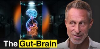 ADHD Is a Whole-Body Problem: What to Look at Beyond the Brain