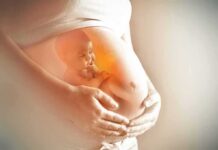 Baby Brains Rewired By Sugar Pregnant belly with illustration of fetus inside