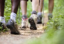 Hikers' feet walking on a forest trail