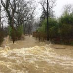 Flooded residential street with fast-moving muddy water