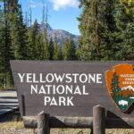 Yellowstone’s Most Dangerous Animal Sends Child to ER Yellowstone National Park entrance sign beside a forested road