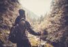 How Nature Fights Isolation & Loneliness A hiker standing in a forest, looking at a scenic view of mountains and trees