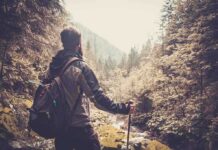 How Nature Fights Isolation & Loneliness A hiker standing in a forest, looking at a scenic view of mountains and trees
