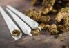 Daily Weed Danger: The Trap Few Admit Three cannabis joints beside loose marijuana buds