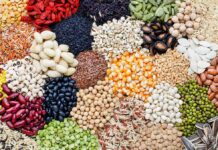 Beans Tier List Goes Viral Assorted legumes, grains, and seeds arranged in colorful piles