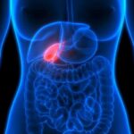 How Silent Diabetes Destroys Organs Early Human torso anatomy highlighting the gallbladder